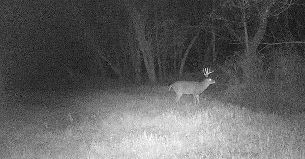 $499,000 | 0 265th Avenue, Maiden Rock, WI 54750