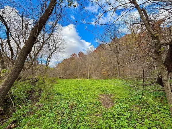 $499,000 | 0 265th Avenue, Maiden Rock, WI 54750