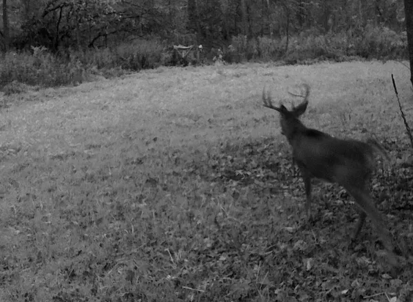 $499,000 | 0 265th Avenue, Maiden Rock, WI 54750