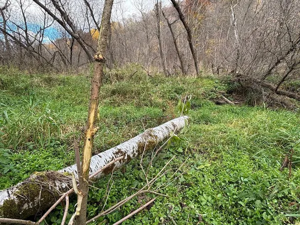 $499,000 | 0 265th Avenue, Maiden Rock, WI 54750