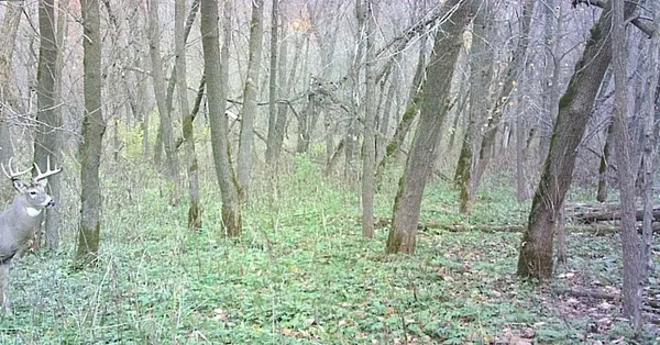 $499,000 | 0 265th Avenue, Maiden Rock, WI 54750