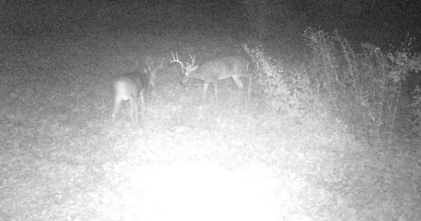 $499,000 | 0 265th Avenue, Maiden Rock, WI 54750