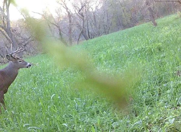 $499,000 | 0 265th Avenue, Maiden Rock, WI 54750