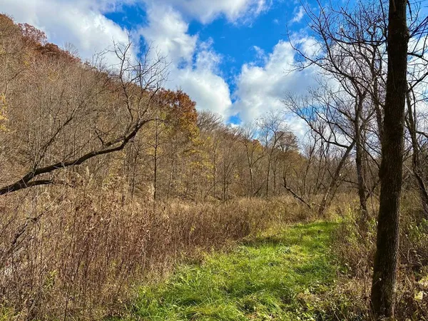 $499,000 | 0 265th Avenue, Maiden Rock, WI 54750