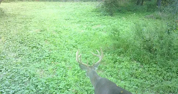 $499,000 | 0 265th Avenue, Maiden Rock, WI 54750