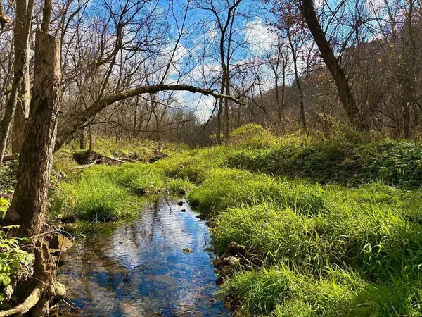 $499,000 | 0 265th Avenue, Maiden Rock, WI 54750