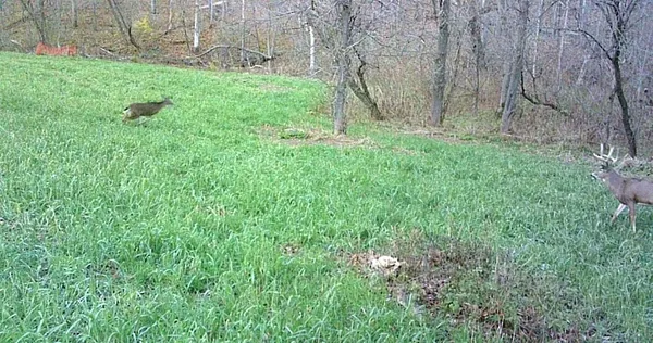 $499,000 | 0 265th Avenue, Maiden Rock, WI 54750