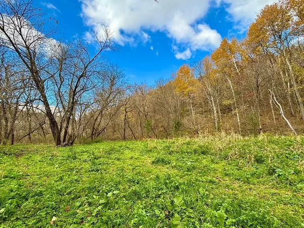 $499,000 | 0 265th Avenue, Maiden Rock, WI 54750