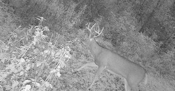 $499,000 | 0 265th Avenue, Maiden Rock, WI 54750