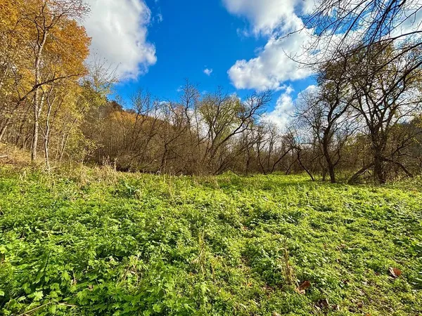 $499,000 | 0 265th Avenue, Maiden Rock, WI 54750