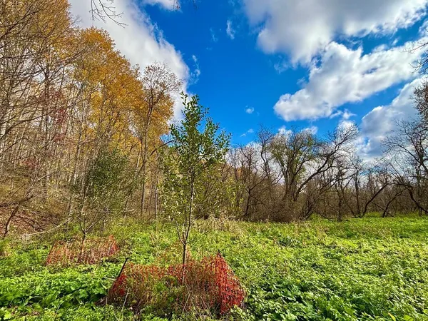 $499,000 | 0 265th Avenue, Maiden Rock, WI 54750