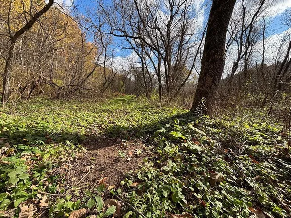 $499,000 | 0 265th Avenue, Maiden Rock, WI 54750