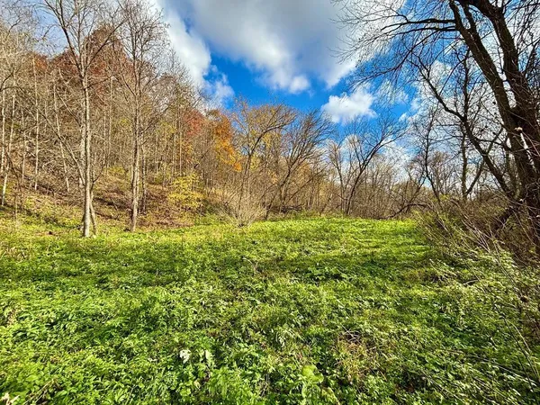 $499,000 | 0 265th Avenue, Maiden Rock, WI 54750