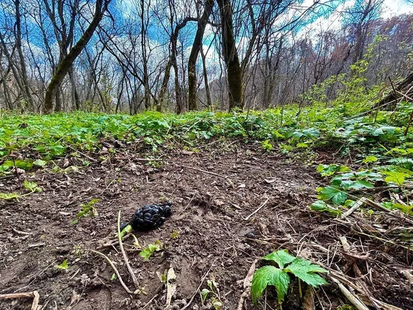 $499,000 | 0 265th Avenue, Maiden Rock, WI 54750