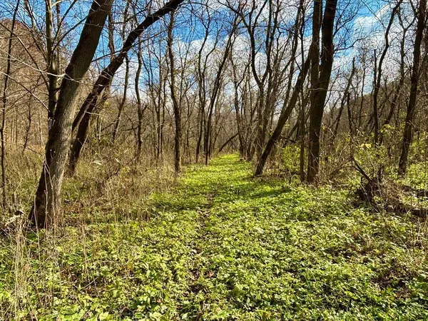 $499,000 | 0 265th Avenue, Maiden Rock, WI 54750