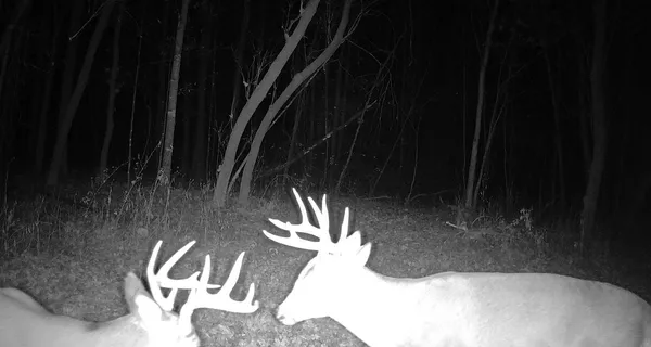 $499,000 | 0 265th Avenue, Maiden Rock, WI 54750