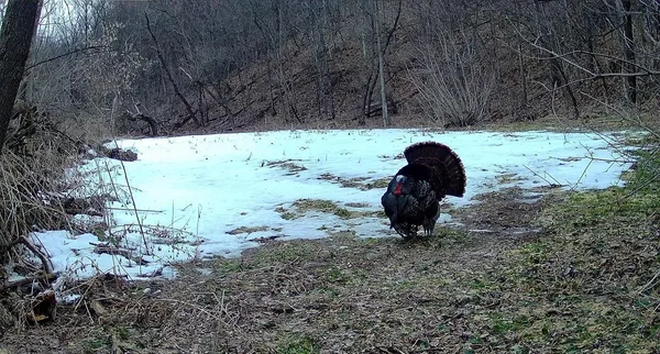 $499,000 | 0 265th Avenue, Maiden Rock, WI 54750