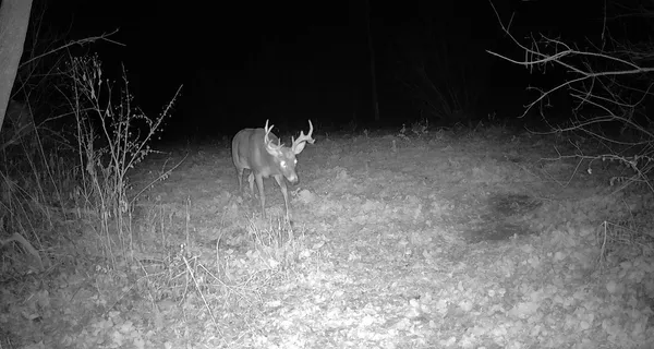 $499,000 | 0 265th Avenue, Maiden Rock, WI 54750