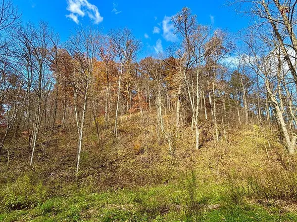 $499,000 | 0 265th Avenue, Maiden Rock, WI 54750