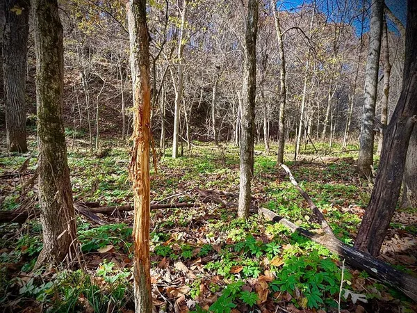 $499,000 | 0 265th Avenue, Maiden Rock, WI 54750