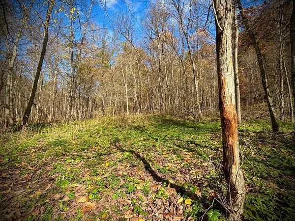 $499,000 | 0 265th Avenue, Maiden Rock, WI 54750