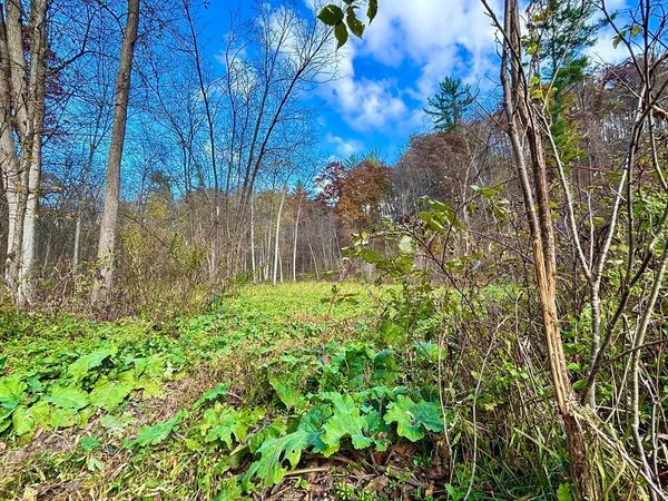 $499,000 | 0 265th Avenue, Maiden Rock, WI 54750