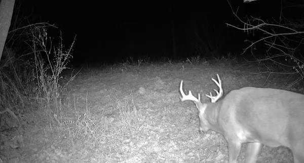 $499,000 | 0 265th Avenue, Maiden Rock, WI 54750