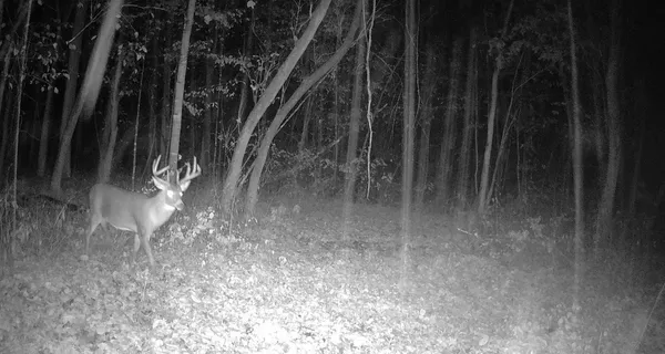 $499,000 | 0 265th Avenue, Maiden Rock, WI 54750