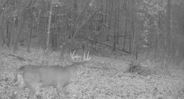 $499,000 | 0 265th Avenue, Maiden Rock, WI 54750