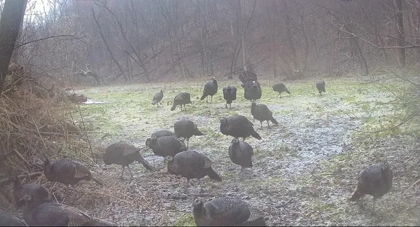 $499,000 | 0 265th Avenue, Maiden Rock, WI 54750