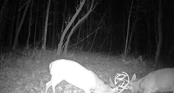 $499,000 | 0 265th Avenue, Maiden Rock, WI 54750