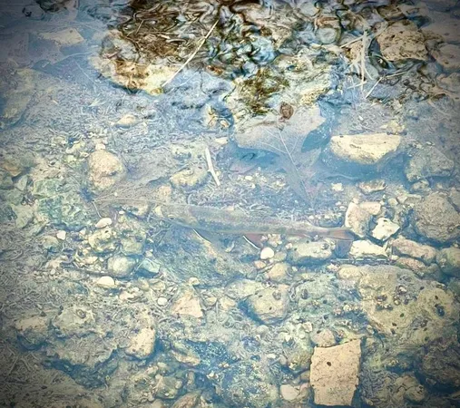 $499,000 | 0 265th Avenue, Maiden Rock, WI 54750