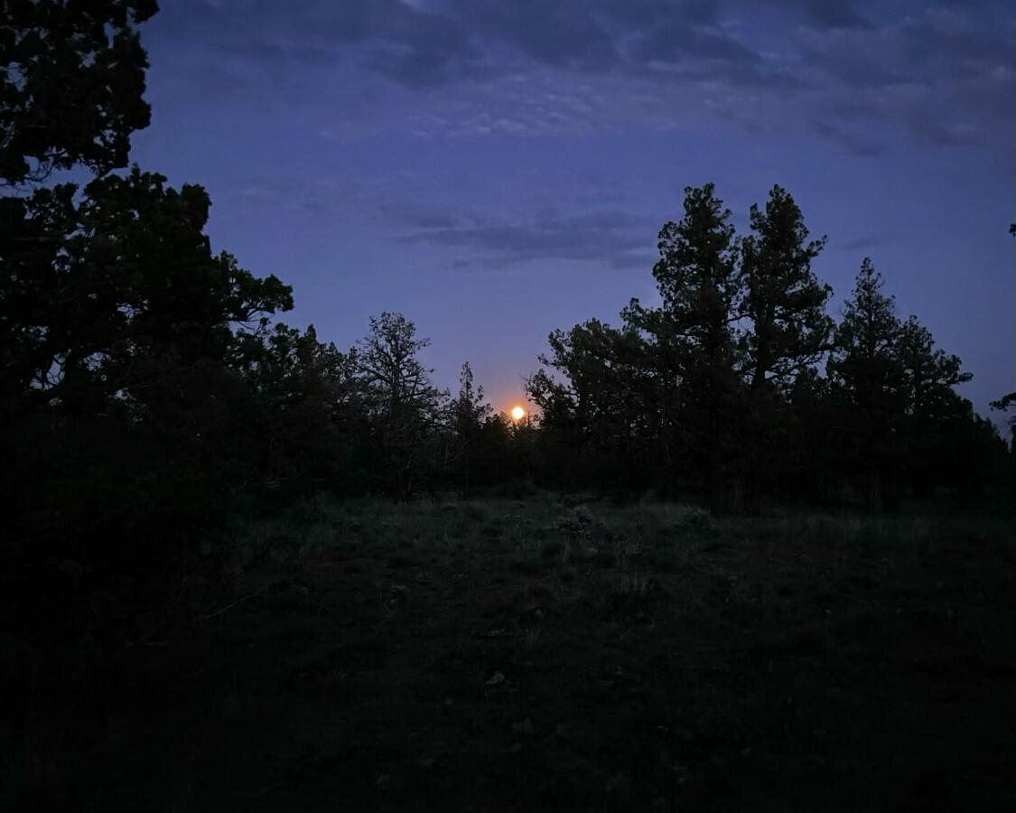 69740 McKenzie Canyon Road Sisters, OR 97759 - Photo 29 of 45 Moonrise