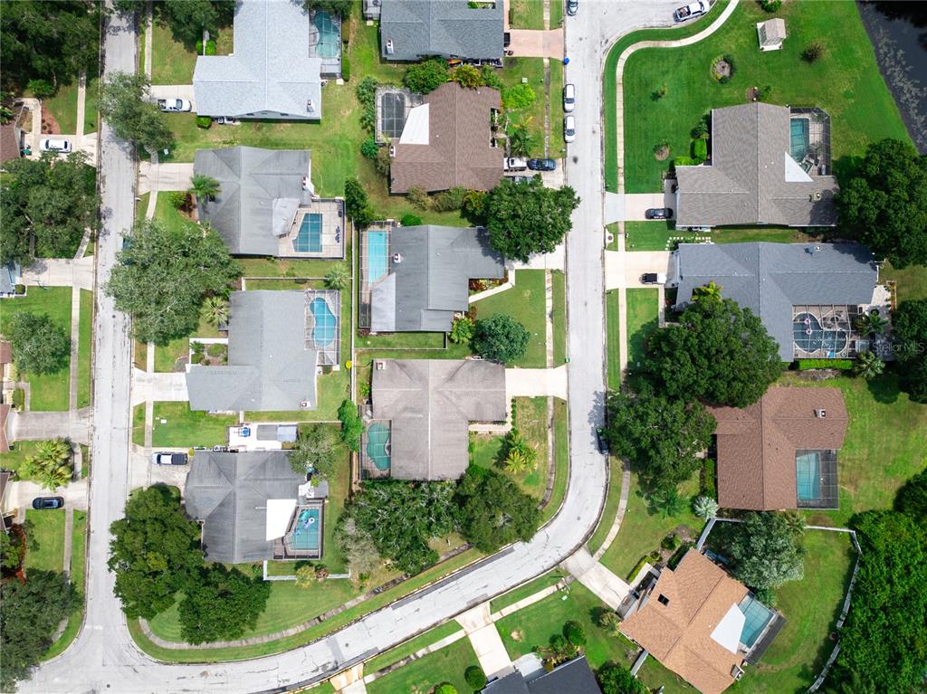 2917 Cypress Ridge Palm Harbor, FL 34684 - Photo 37 of 38