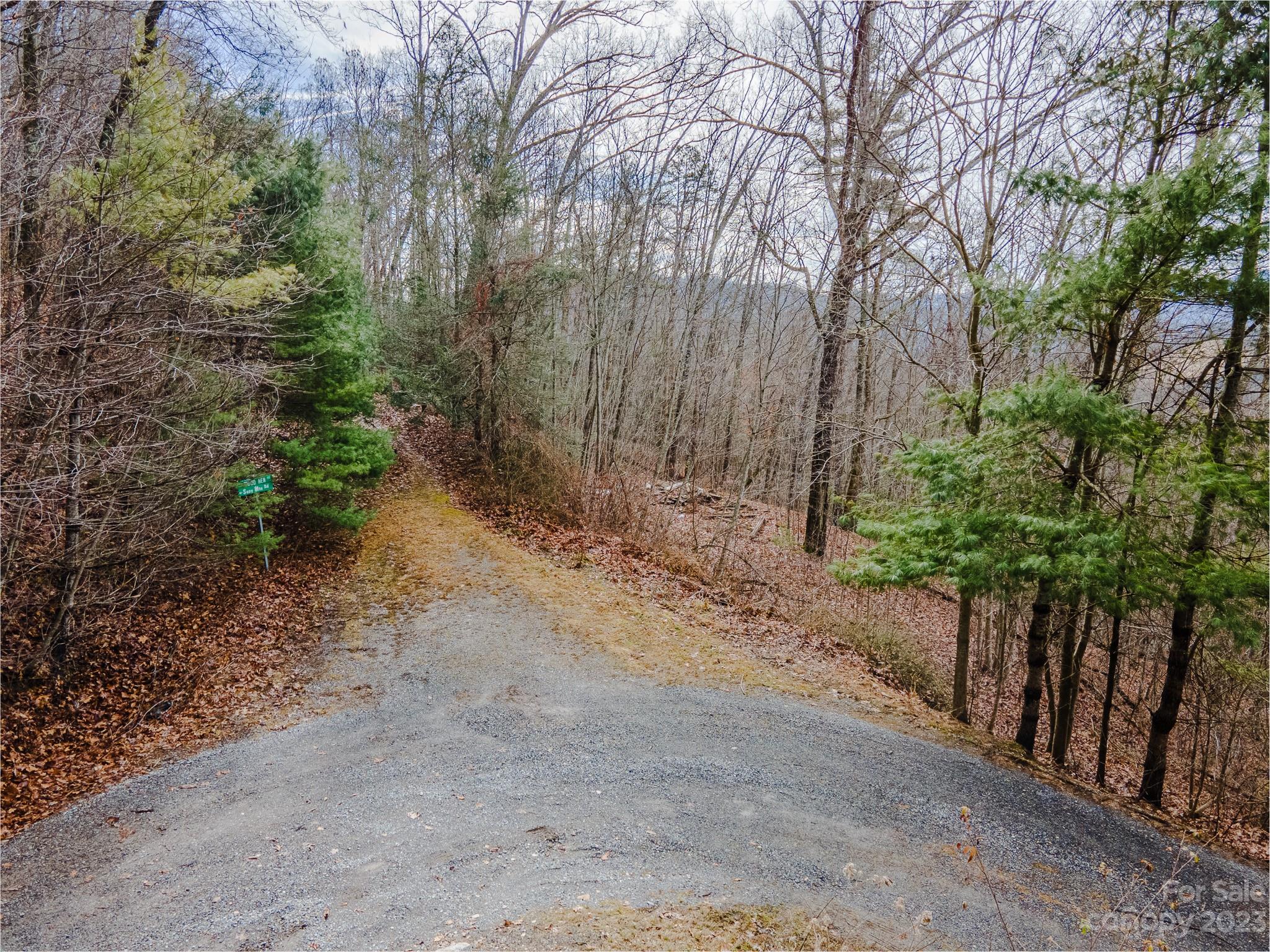 Lot 14 Seay Mountain Road Waynesville, NC 28785 - Photo 15 of 29 a view of a yard with trees