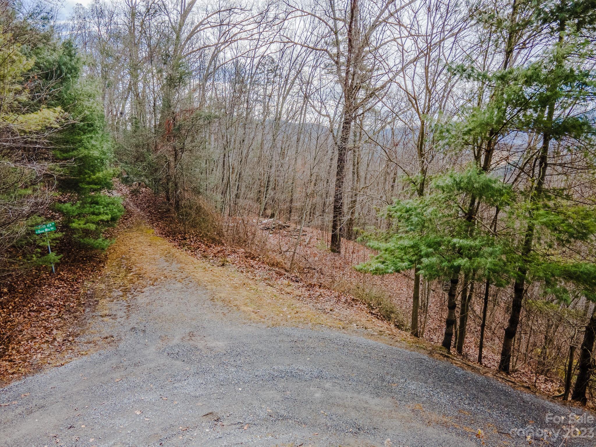 Lot 14 Seay Mountain Road Waynesville, NC 28785 - Photo 16 of 29