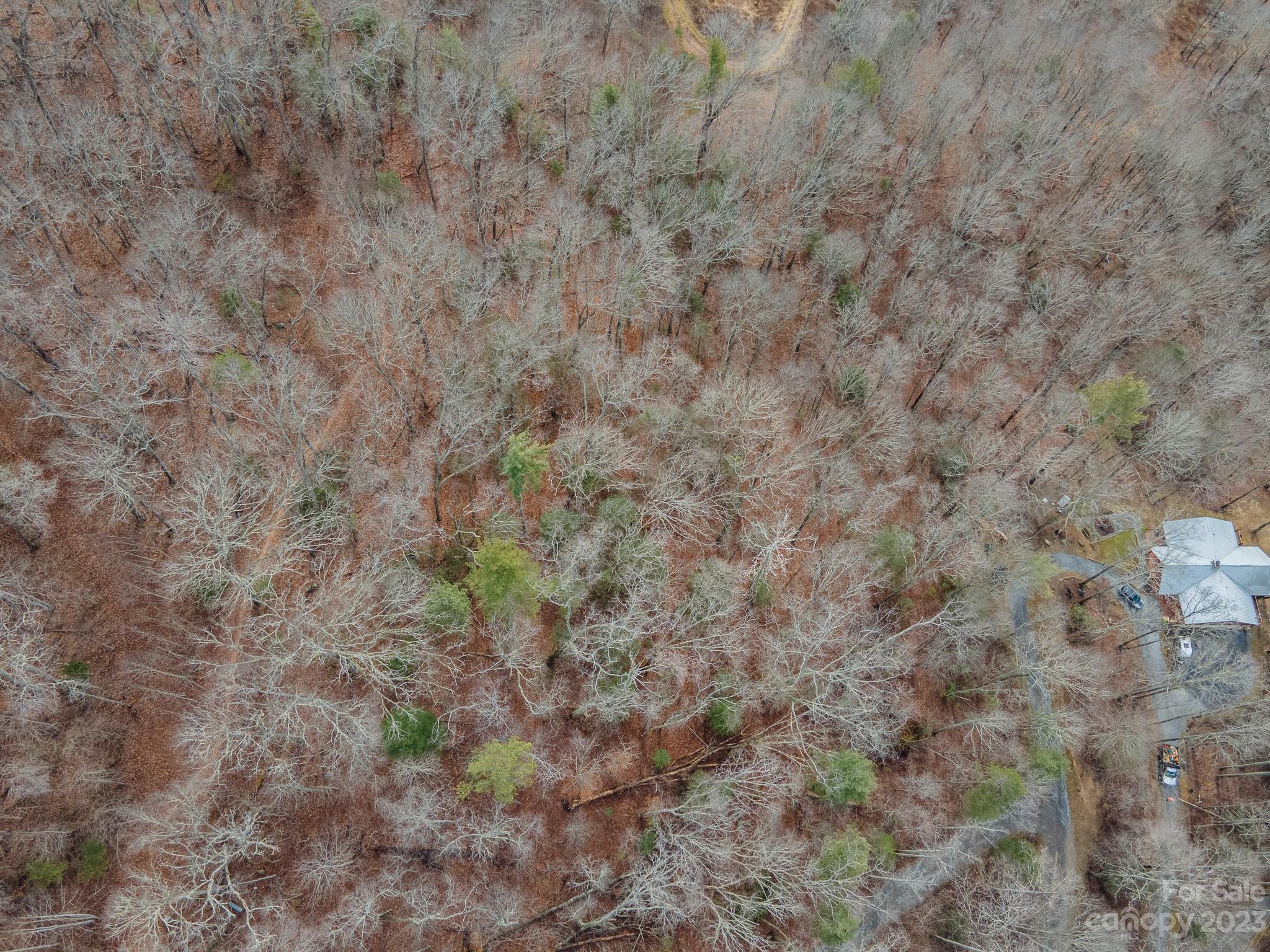 Lot 14 Seay Mountain Road Waynesville, NC 28785 - Photo 19 of 29