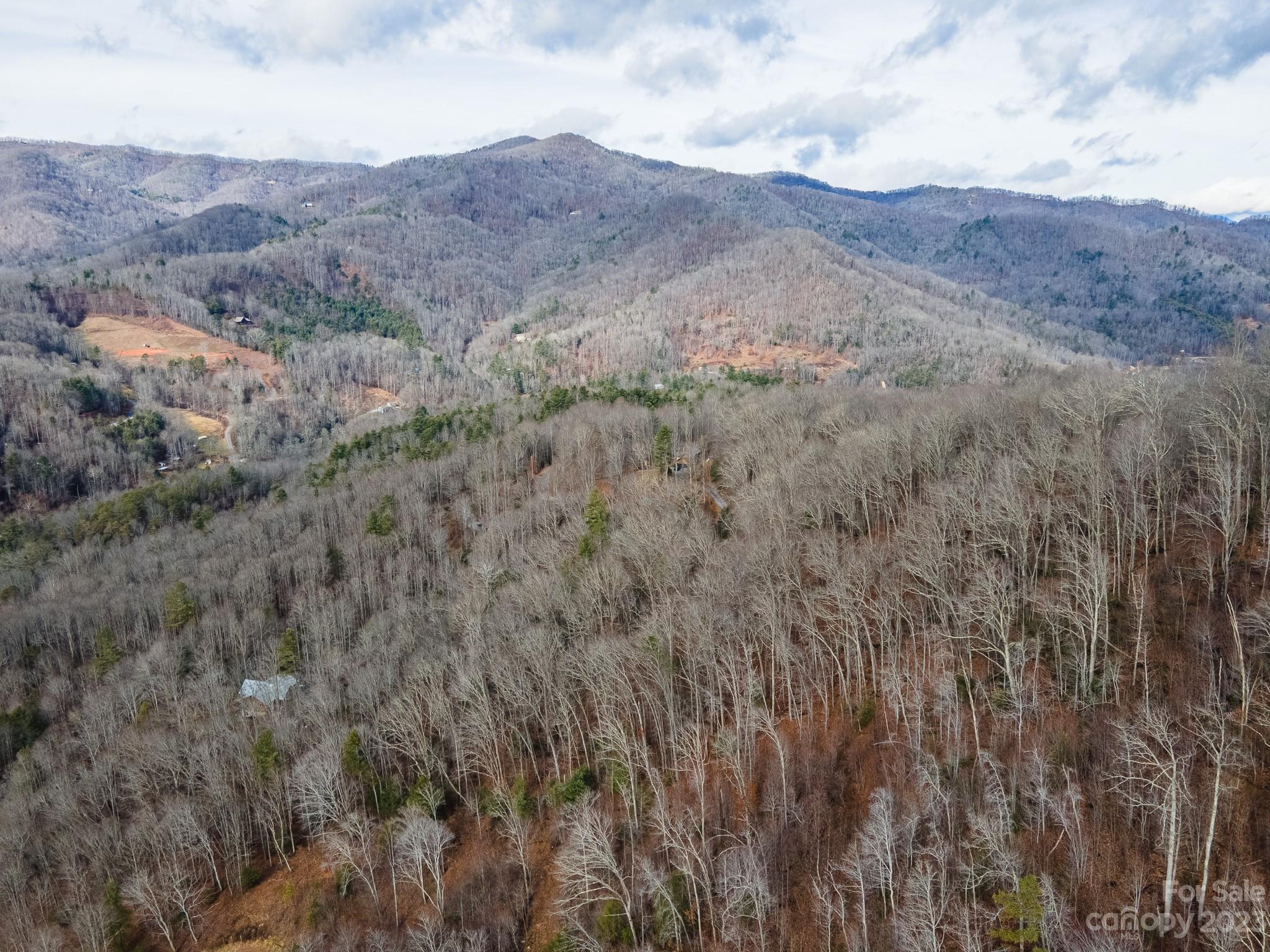 Lot 14 Seay Mountain Road Waynesville, NC 28785 - Photo 23 of 29 a view of a dry field