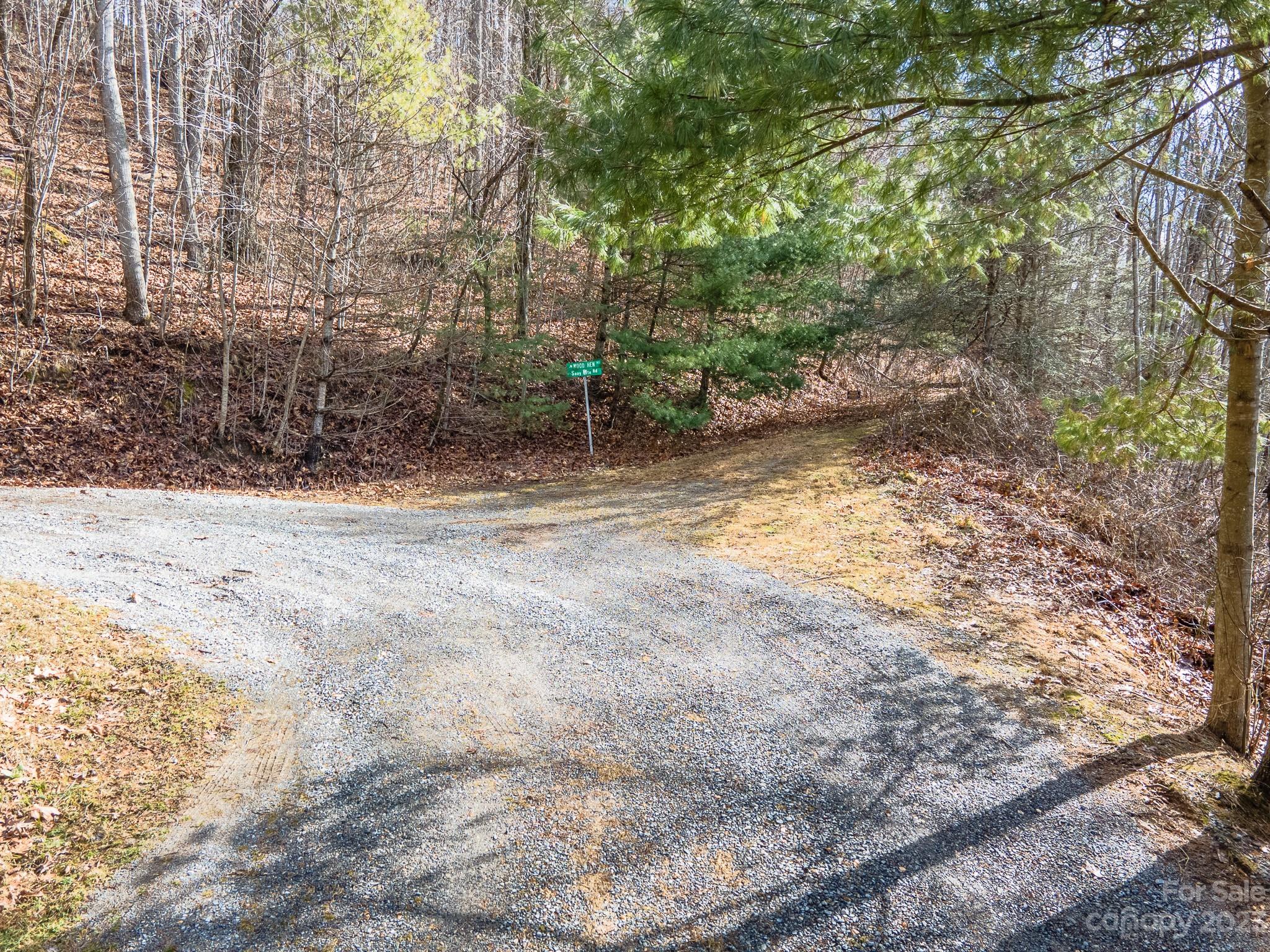 Lot 14 Seay Mountain Road Waynesville, NC 28785 - Photo 29 of 29 a view of a yard with large trees