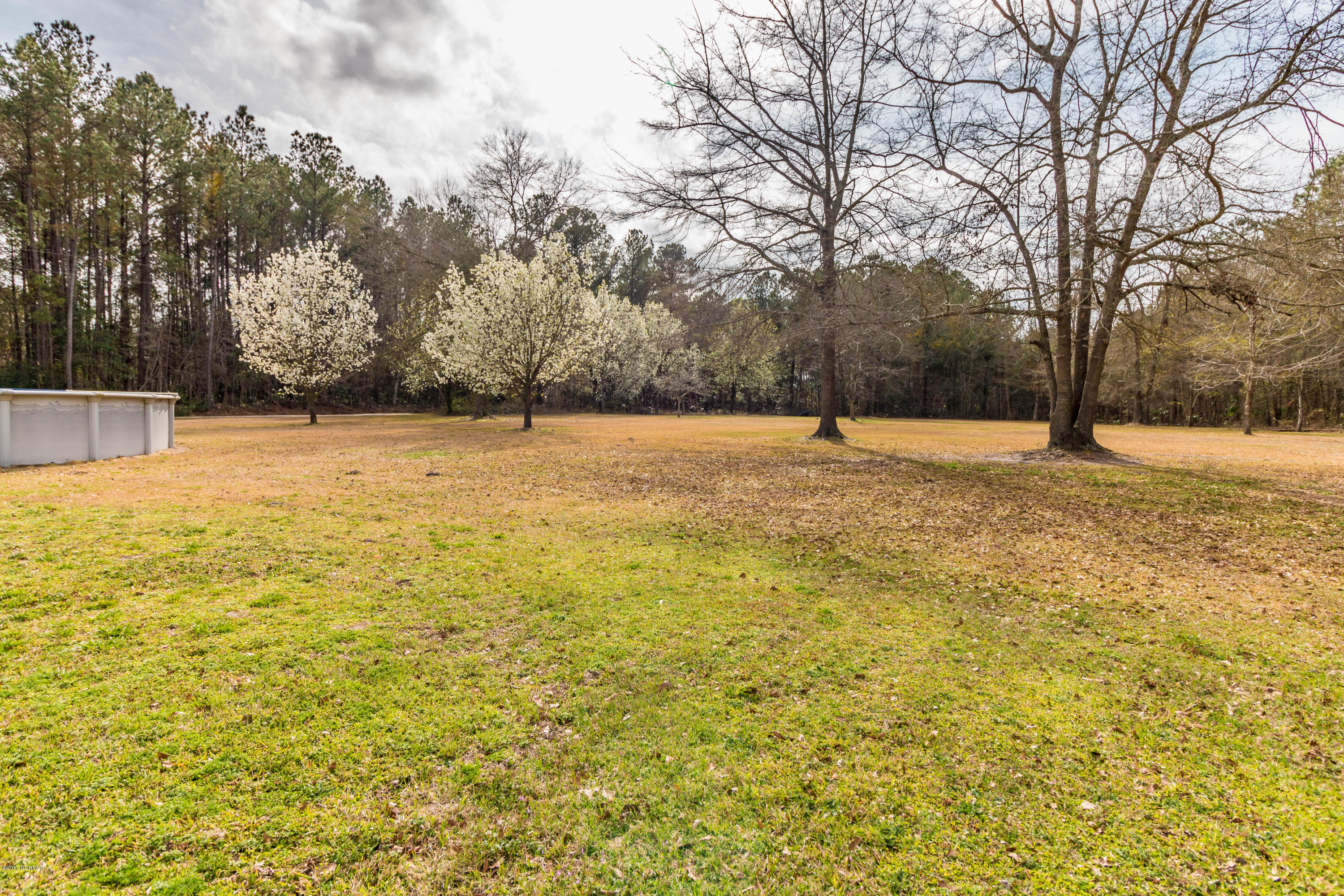 314 Coston Road Richlands, NC 28574 - Photo 20 of 24 img_9747-3_33188296125_o