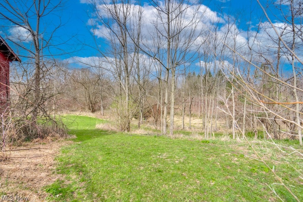 1846 Lester Road Valley City, OH 44280 - Photo 6 of 9 Yard behind barns