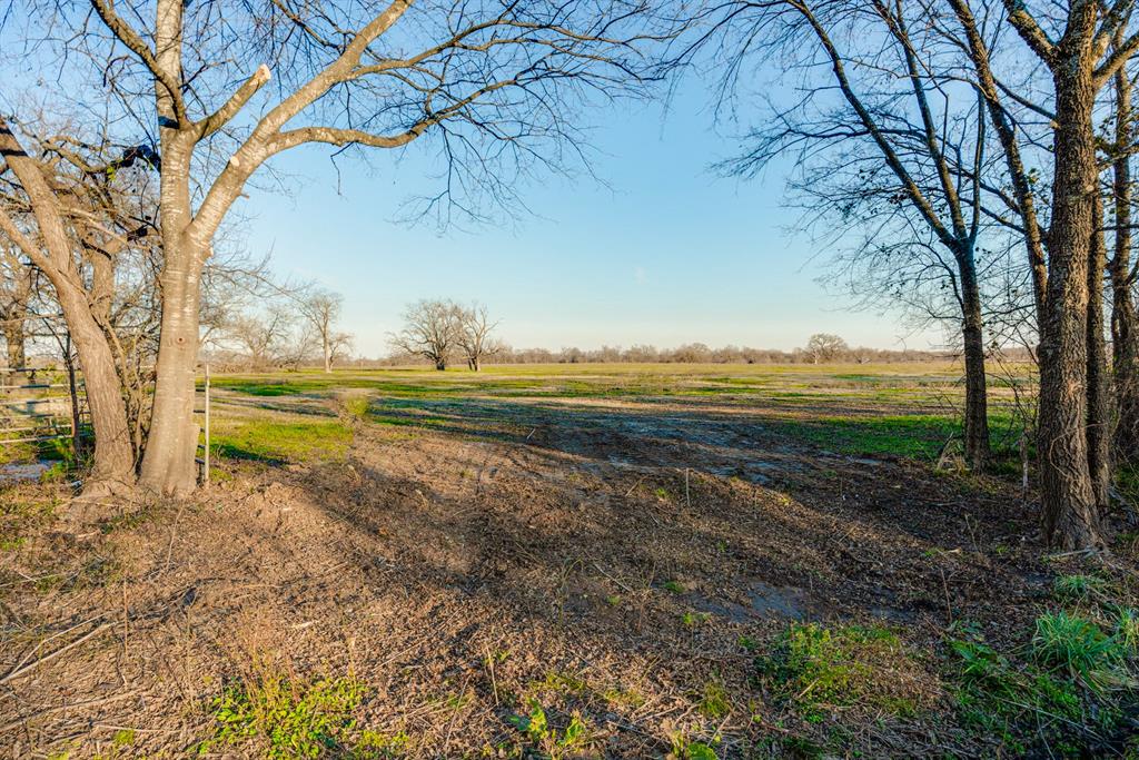 1 County Road 3525 Dike, TX 75437 - Photo 11 of 13 View of yard with a rural view