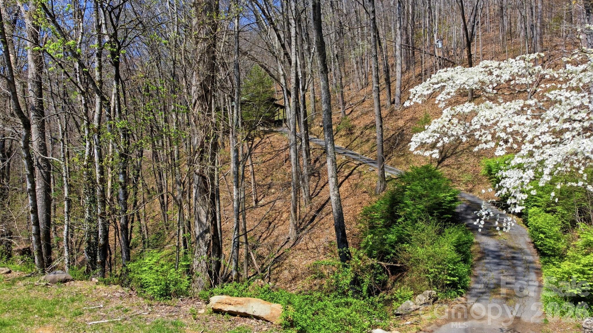 1837 East Alarka Road Bryson City, NC 28713 - Photo 11 of 34 a backyard of a house with lots of green space