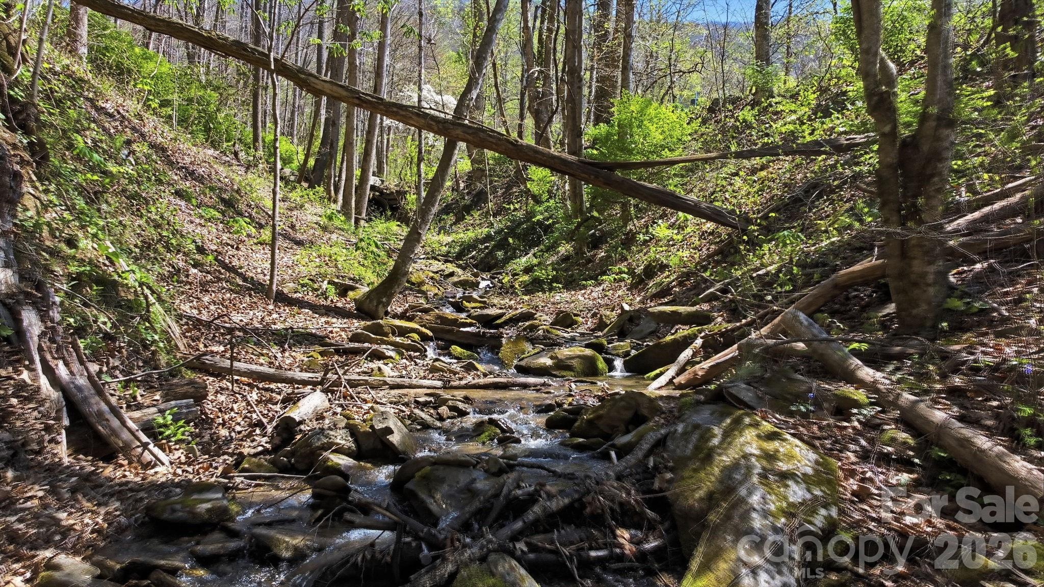 1837 East Alarka Road Bryson City, NC 28713 - Photo 15 of 34