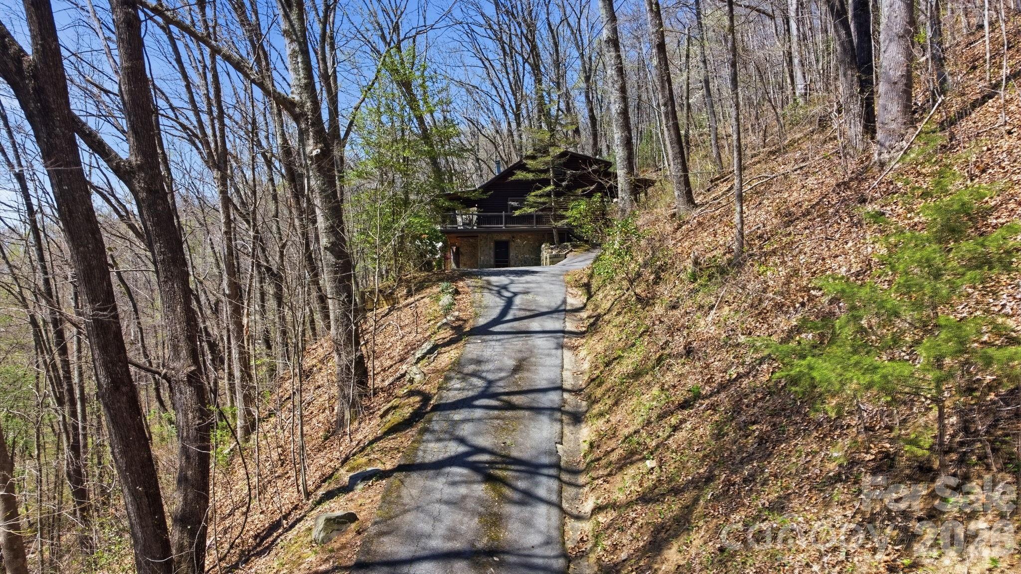 1837 East Alarka Road Bryson City, NC 28713 - Photo 16 of 34 a backyard of a building with lots of trees