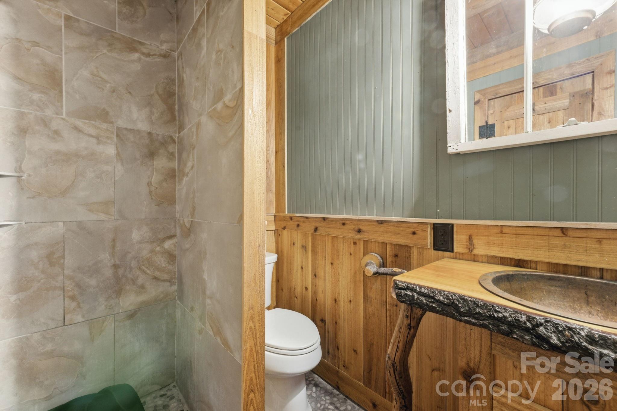 1837 East Alarka Road Bryson City, NC 28713 - Photo 27 of 39 a bathroom with a sink a toilet and a mirror