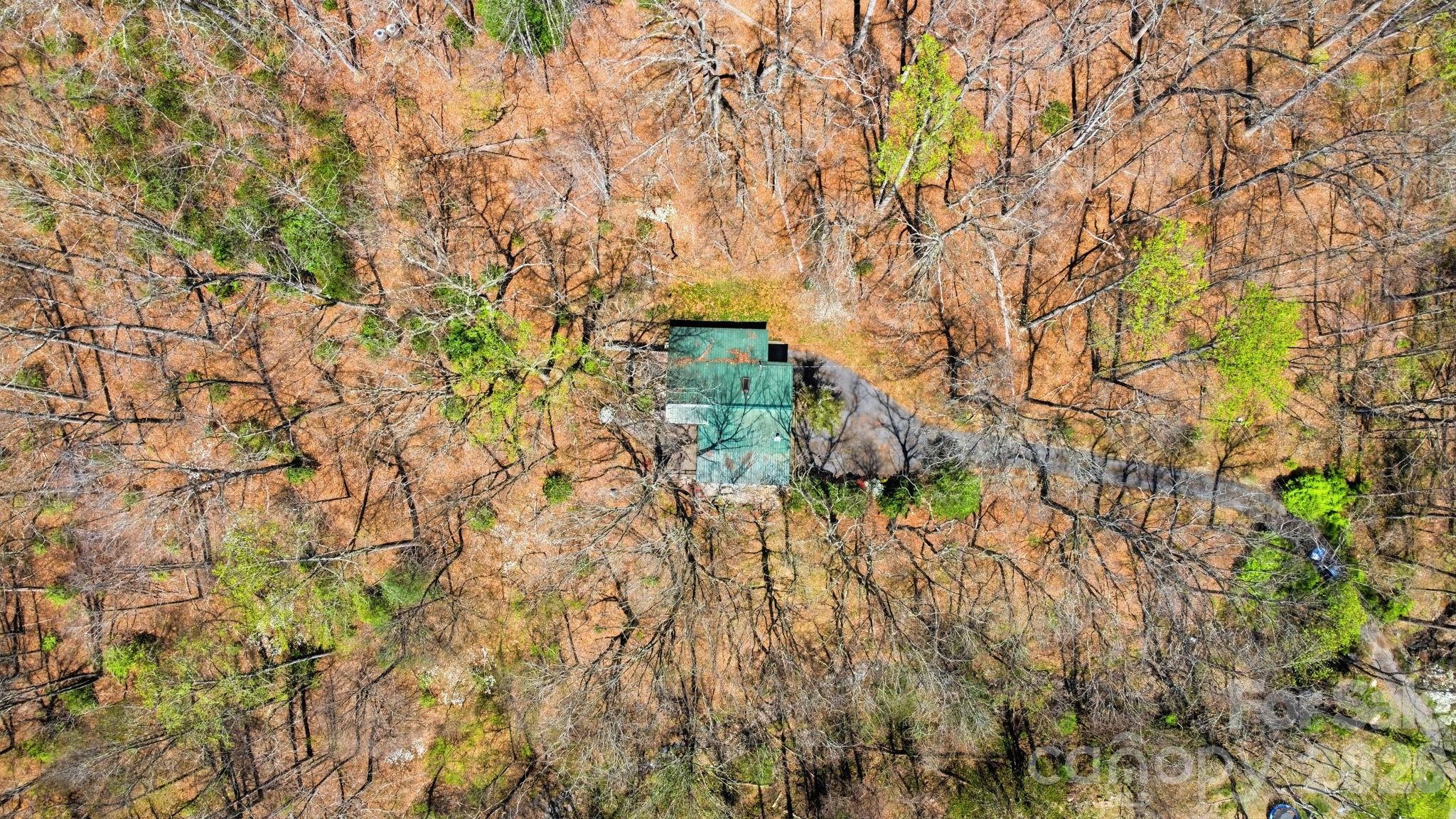 1837 East Alarka Road Bryson City, NC 28713 - Photo 7 of 34 a backyard of a house with lots of green space