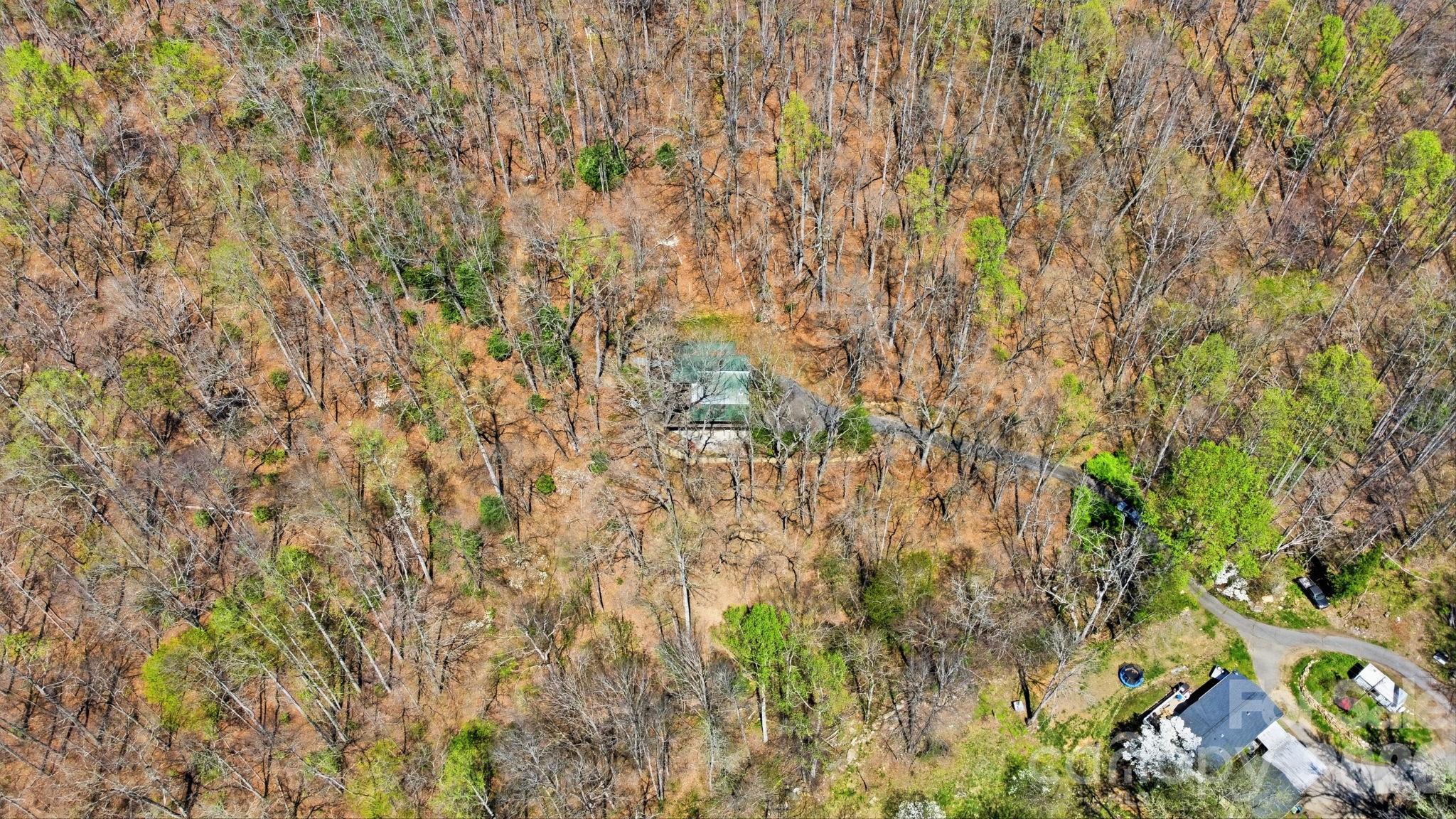 1837 East Alarka Road Bryson City, NC 28713 - Photo 8 of 34