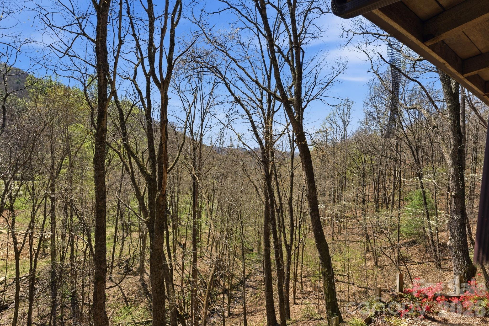 1837 East Alarka Road Bryson City, NC 28713 - Photo 9 of 34 a view of yard with green space