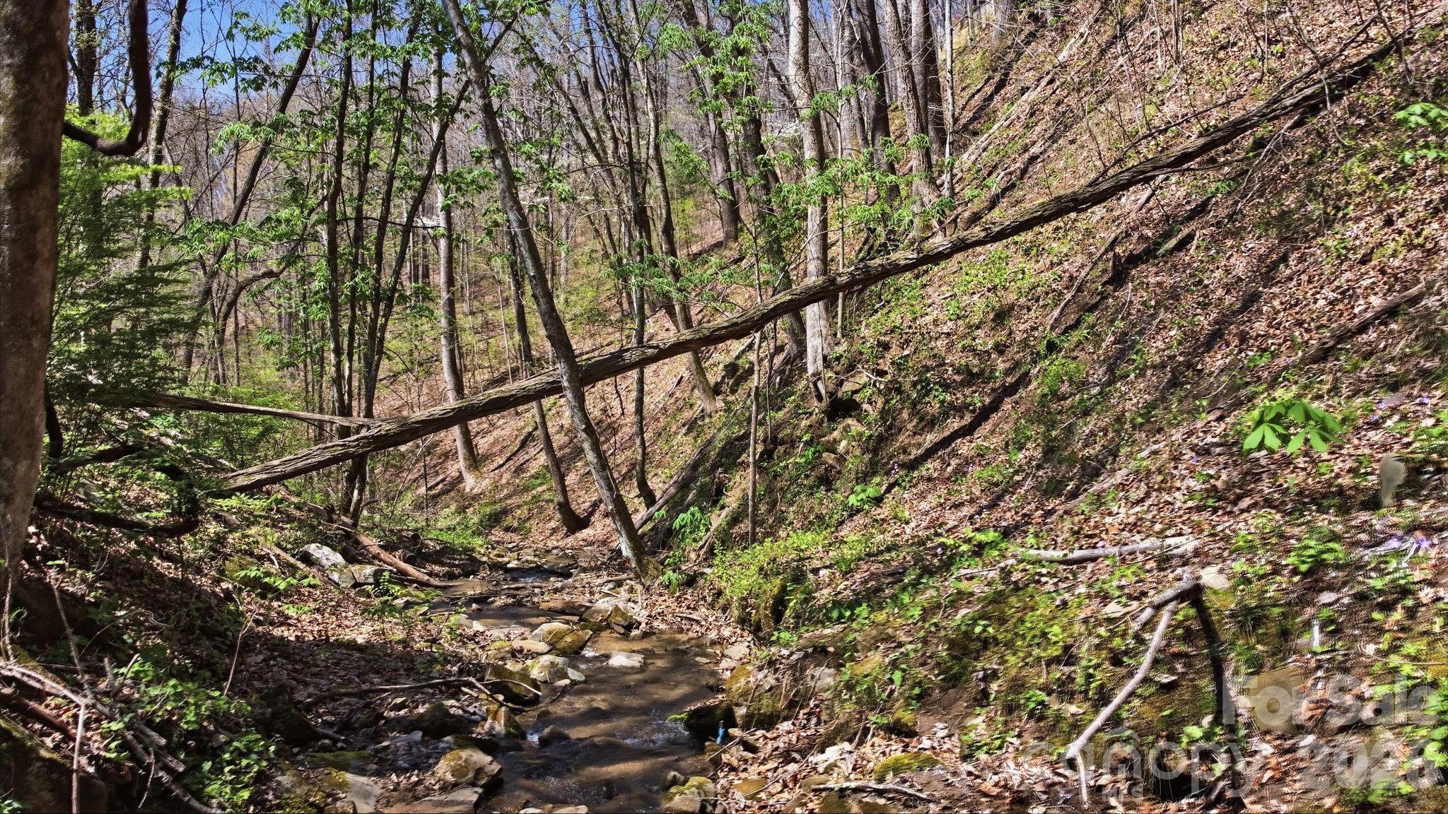 1837 East Alarka Road Bryson City, NC 28713 - Photo 10 of 34 a backyard of a house with lots of green space